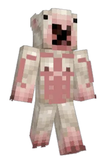 Haydoodlez Minecraft avatar full body