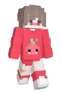 Haydutto Minecraft avatar full body