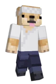 Hayjon28 Minecraft avatar full body