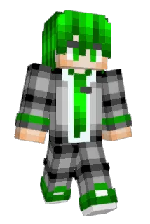 Hayreebees Minecraft avatar full body