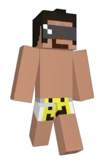 Hc5607b Minecraft avatar full body