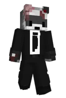 HcNoodles Minecraft avatar full body