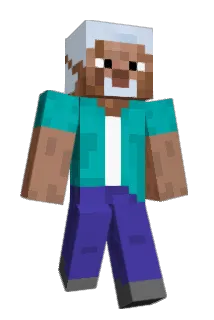 He11vis Minecraft avatar full body