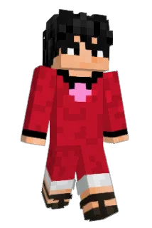 HeFry16 Minecraft avatar full body