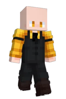 HePolo_ Minecraft avatar full body