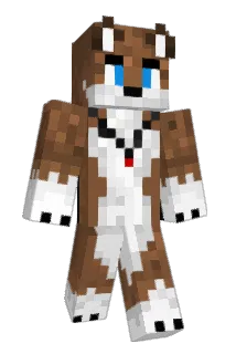 Heady9 Minecraft avatar full body