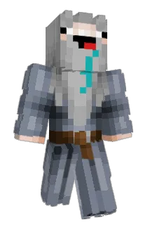 Healadin Minecraft avatar full body