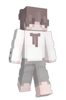 Healthiness Minecraft avatar full body
