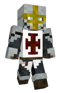 Healy229 Minecraft avatar full body