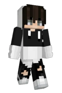HeartlessW101 Minecraft avatar full body