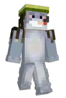 Hebosek Minecraft avatar full body