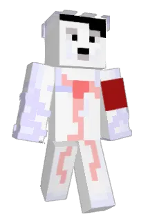 Hecker135 Minecraft avatar full body