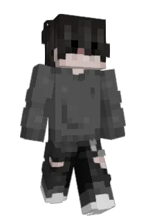 Hecktischer_Hase Minecraft avatar full body