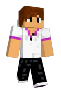 Hecticism Minecraft avatar full body