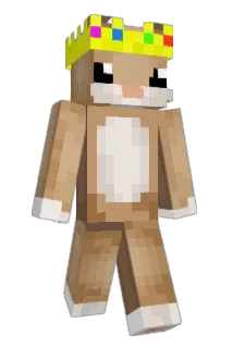 Hectorbrother Minecraft avatar full body