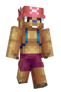 Hectzi Minecraft avatar full body