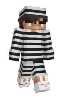 Hedegaardx Minecraft avatar full body