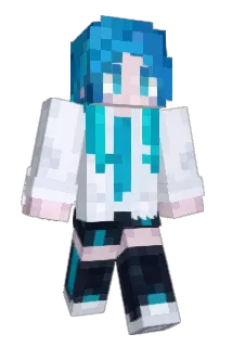 HeduardoBits Minecraft avatar full body