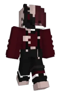 Heery_ Minecraft avatar full body