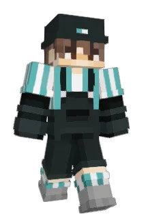 HeheHenry Minecraft avatar full body