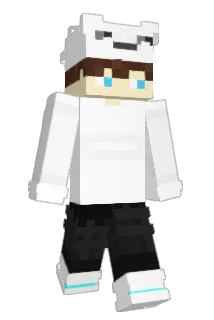 Heiimlich Minecraft avatar full body