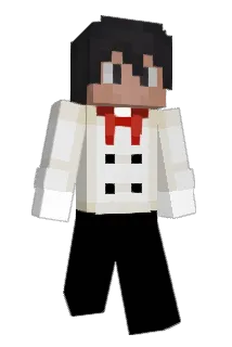 Heikkimies Minecraft avatar full body