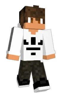 Heikkinee Minecraft avatar full body