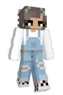 HeilWill Minecraft avatar full body