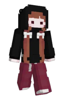 Hein02 Minecraft avatar full body