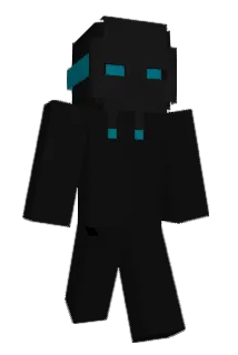 Heinekkan Minecraft avatar full body