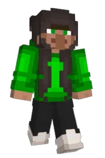Heissluftdusche Minecraft avatar full body
