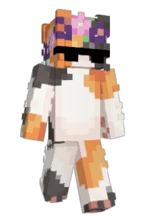 Hejdak Minecraft avatar full body
