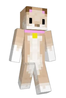 Hejemma Minecraft avatar full body