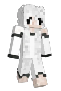 Hekky Minecraft avatar full body
