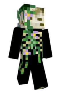 HeldPaul8559 Minecraft avatar full body