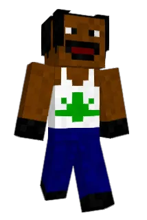 HenDers1n Minecraft avatar full body