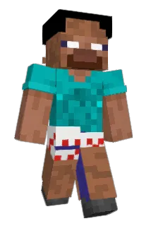 Henne1848 Minecraft avatar full body