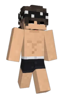 HennieLP Minecraft avatar full body