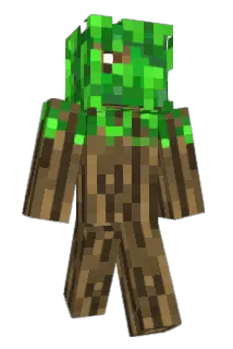 Henocko Minecraft avatar full body