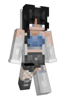 Henri11223 Minecraft avatar full body