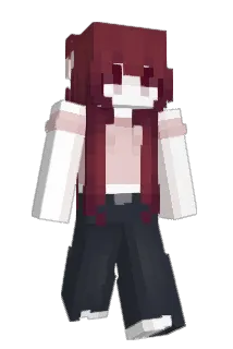 HenryZ4 Minecraft avatar full body