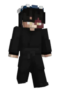 HereIsXRAY_ Minecraft avatar full body