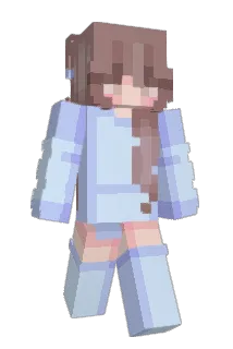 Heroes246 Minecraft avatar full body