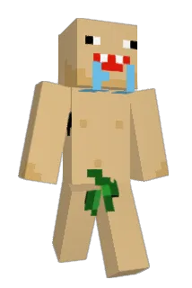 Herolnn Minecraft avatar full body