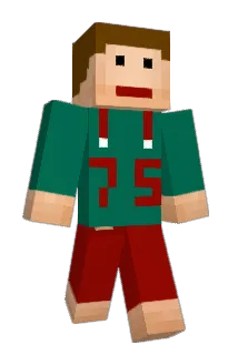 Herr_Heusers Minecraft avatar full body