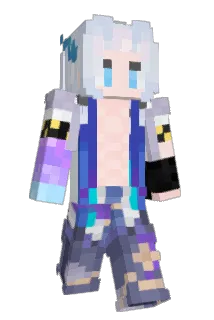 HerryPottar Minecraft avatar full body