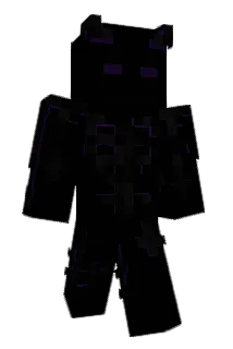 Heryc Minecraft avatar full body