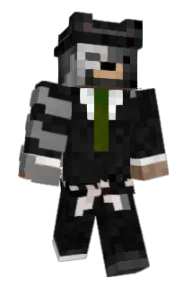 Hesel Minecraft avatar full body