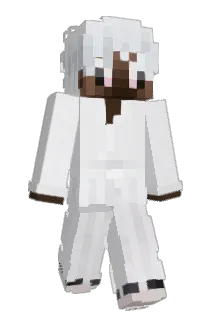 Hesio2137 Minecraft avatar full body