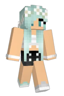 Hetty2 Minecraft avatar full body